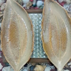 Set of two handcrafted ceramic leaf-shaped serving platters in beige and brown finish placed on a decorative seashell background